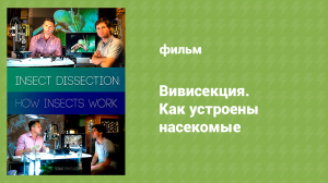 Вивисекция. Как устроены насекомые (документальный фильм, 2010)