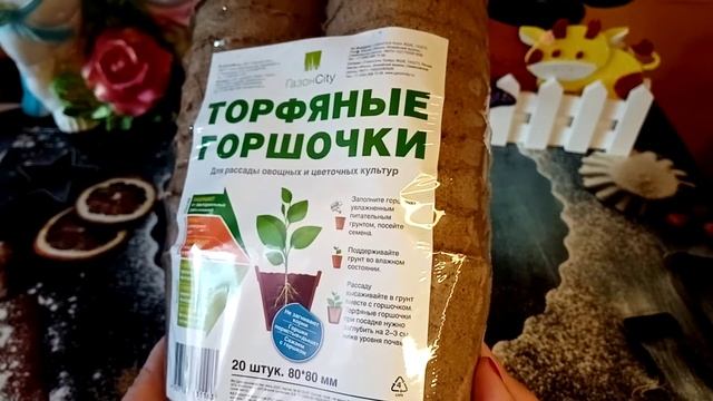 В СВЕТОФОР ЗАВЕЗЛИ ДЛЯ САДОВОДОВ ДЕШЁВЫЕ НАБОР ТОРФЯНЫЕ ГОРШОЧКИ ЗА 32 РУБЛЯ, РАССКАЗЫВАЮ ДЛЯ НУЖНЫ