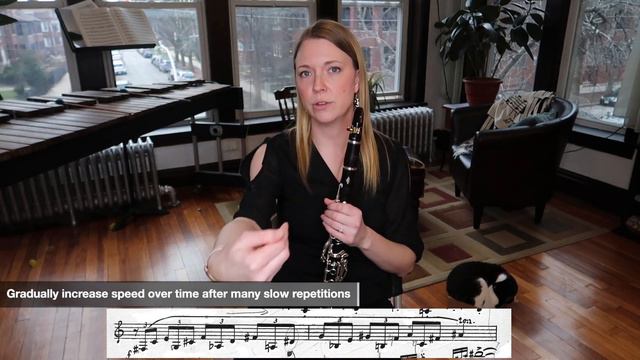 Peter & the Wolf Clarinet Excerpt: Practice Tips смотреть онлайн