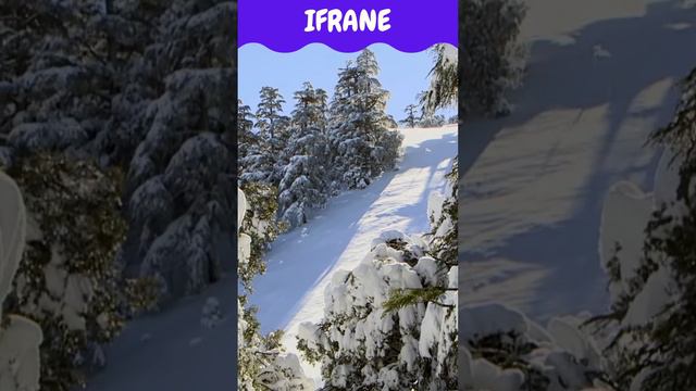 Unleash Your Inner Adventurer: Explore the Snowy Wonders of Ifrane ❄️🏂 #morocco #ifrane #snow