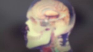 ? ШУМ В УШАХ. Лечение природными средствами.