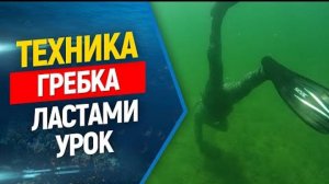 🏊Техника гребка ластами во фридайвинге и подводной охоте.