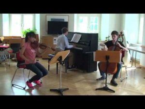 Beethoven. Piano Trio c-moll Op.1 No.3(I)