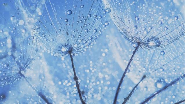 Красивая фортепианная музыка, Расслабляющая музыка, Романтическая музыка, Музыка для сна смотреть онлайн