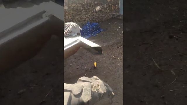 Установили Рычаг, кронштейн, цилиндр, пальцы+НШ 3210Л на Тракторе Т40 - с ПВМ . как все работает смотреть онлайн