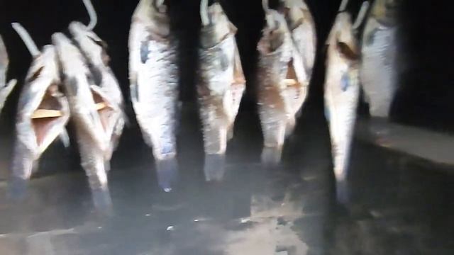 КАРАСИ ХОЛОДНОГО КОПЧЕНИЯ смотреть онлайн