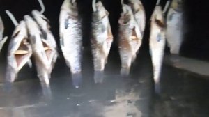 КАРАСИ    ХОЛОДНОГО  КОПЧЕНИЯ