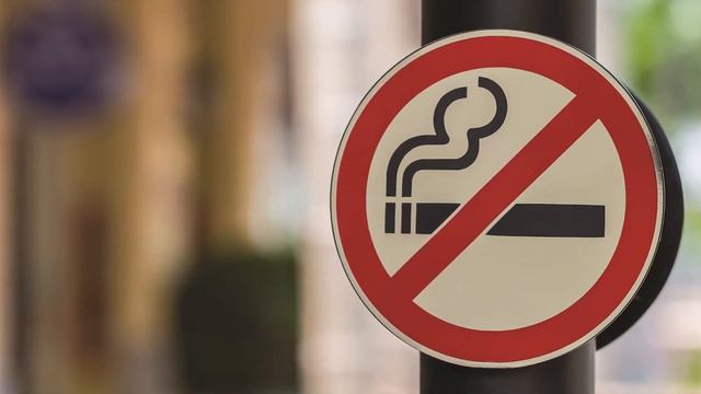 20 10 Susambar смотреть онлайн