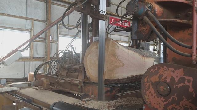 楠と欅・Camphor tree/Zelkova Sawing!! смотреть онлайн