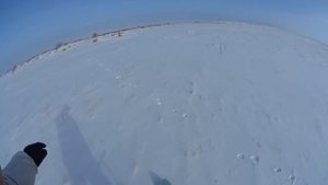 ОХОТА так ОХОТА ИЖ 58 16кл  Охота на зайца