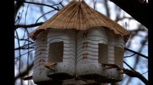 Кормушка из пластиковой бутылки для птиц. Несложные кормушки из ПЭТ бутылок своими руками