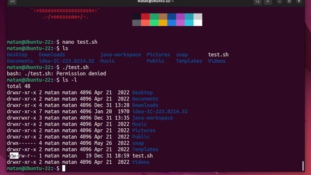 How to fix Permission Denied Error in the Terminal and Command Prompt смотреть онлайн