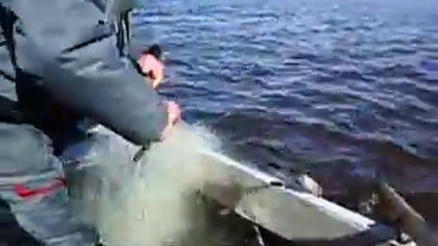 Первая сеть смотреть онлайн