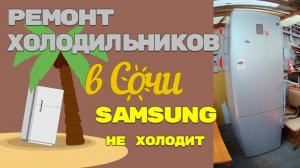 Холодильник Samsung RL40ZGPS, не холодит.