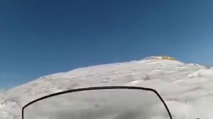 Степные Охотники