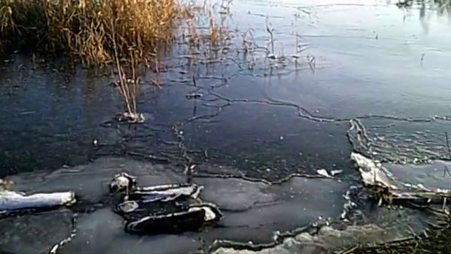 ПРУД ЗАМЁРЗ ЧАСТИЧНО смотреть онлайн