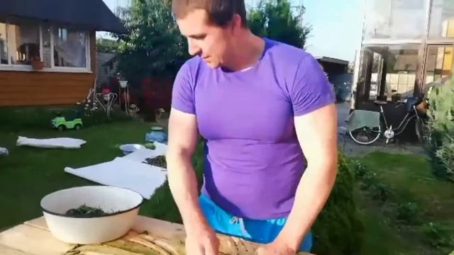 Сбор, ферментация и вся заготовка Иван чая своими руками.Дегустация этого целебного напитка. смотреть онлайн