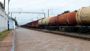 Грузовой состав ВЛ80 поезжает через ст.Калиновку