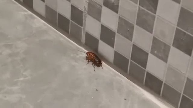 Вот с такими ребятам, мне и предстоит иметь дело смотреть онлайн