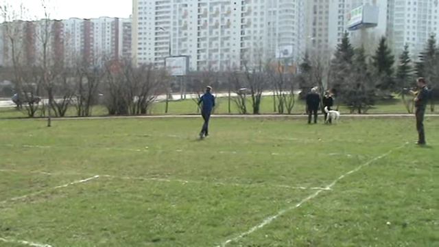 Березина Таня БШО Фиелисс Етен Санни Хантер смотреть онлайн