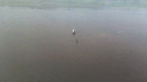 рыбалка на спининг. река Онега. красивейшая природа севера