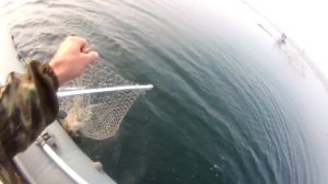 Хорошая рыбалка  ЩУЧЬЕ МЕСТО  Ёдарма 2019 август