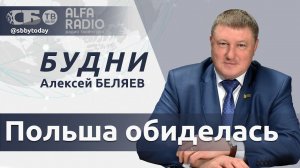 Безвиз в Беларусь работает! Польша выгоняет Венгрию из ЕС и НАТО, Литва укрепляет границу