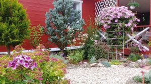 Новый Старый маяк для моей дачи  !?