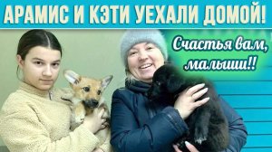 Мушкетеры КЭТИ и АРАМИС уехали домой! Друзья, спасибо за ПОМОЩЬ и РЕПОСТЫ, пожелаем им УДАЧИ ❗