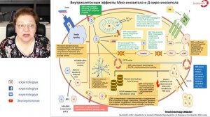 Экспертология | Применение инозитола при СПКЯ Пустотина О.А.