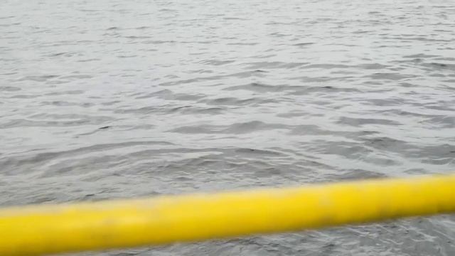 Hunt for Giant Lake Nipigon Brook Trout смотреть онлайн