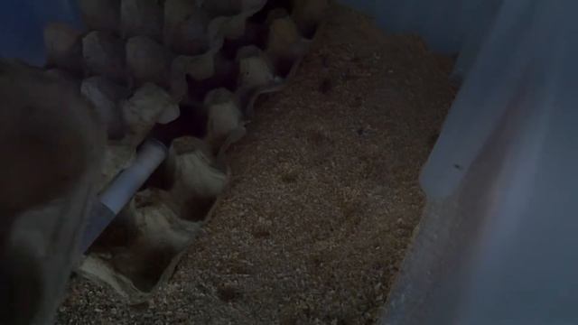 Открытие новой зоны в океанариуме "Акватика" смотреть онлайн