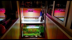 Как устроить акваферму дома