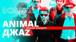 Animal ДжаZ // ВОЗДУХ // НАШЕ