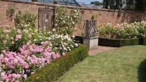 Сад Дэвида Остина.  Англия ,графство Шропшир, 15 июня 2023 года