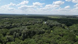 Заброшенный мост через реку Хопёр, в районе села Затон