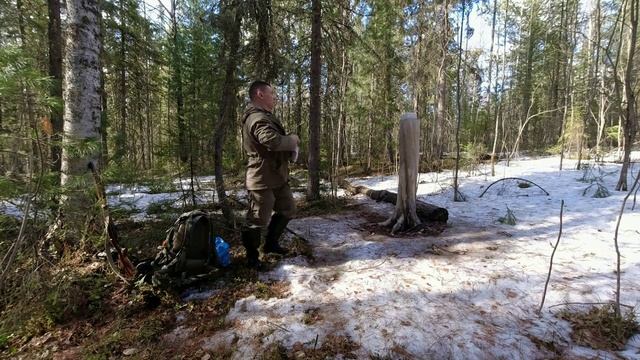 Весенние биотехнические мероприятия. Минерализованная подкормка копытных и зайцев. Солонцы.