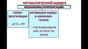 Лекция. Кислотно щелочное состояние. Все факультеты.
