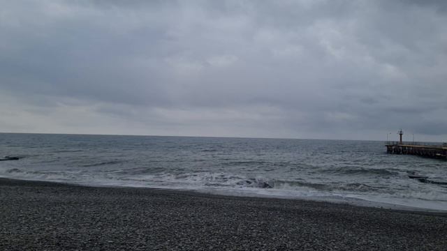 Город СОЧИ начинает тонуть в цветении МАГНОЛИИ КОБУС смотреть онлайн