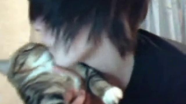 не кушай кота алёша смотреть онлайн