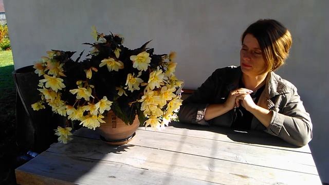 Если петуния надоела... Растения для контейнеров. 2019 смотреть онлайн