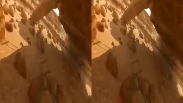 Vr 3D Roller Coaster EGYPT смотреть онлайн