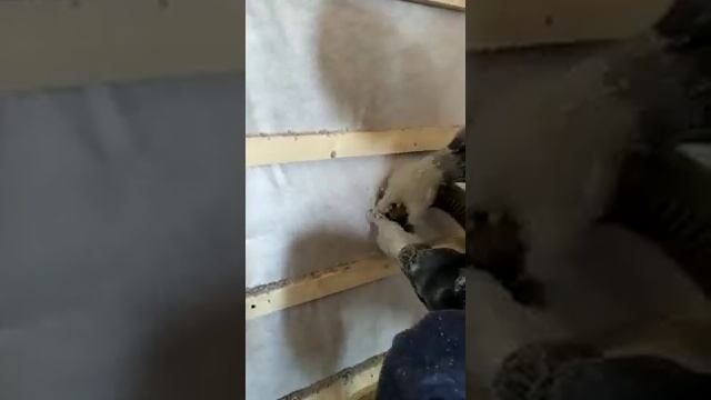 Процесс задувки Эковаты на стены и пол