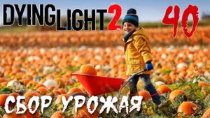 Dying Light 2 Stay Human ПРОХОЖДЕНИЕ НА РУССКОМ #40 Сбор урожая