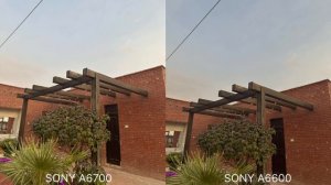 Sony A6700 Vs Sony A6600 Camera Test Leaks & Comparison