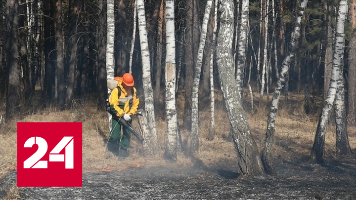 Авиалесоохрана не может справиться с природными пожарами - Россия 24