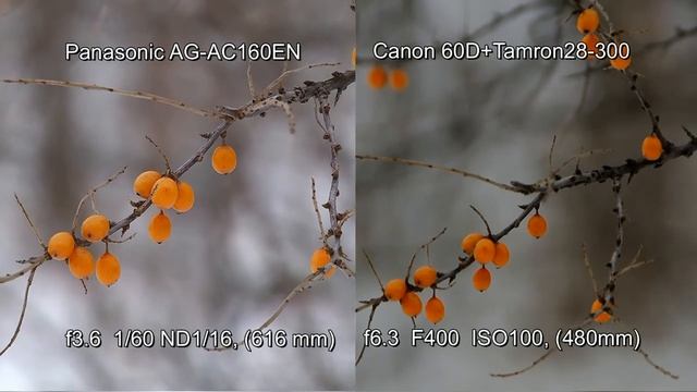 Panasonic AG-AC160EN vs Canon 60D.2 смотреть онлайн