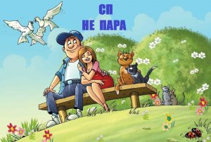 СП НеПара Вступление