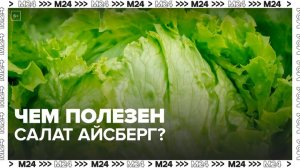 Москвичам рассказали о пользе салата Айсберг - Москва 24