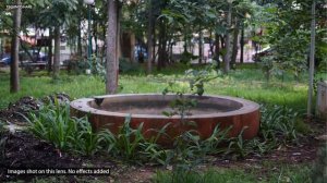 Sigma 30mm F1.4 DC DN | Sony E-Mount | Review | Sample Photos & Videos